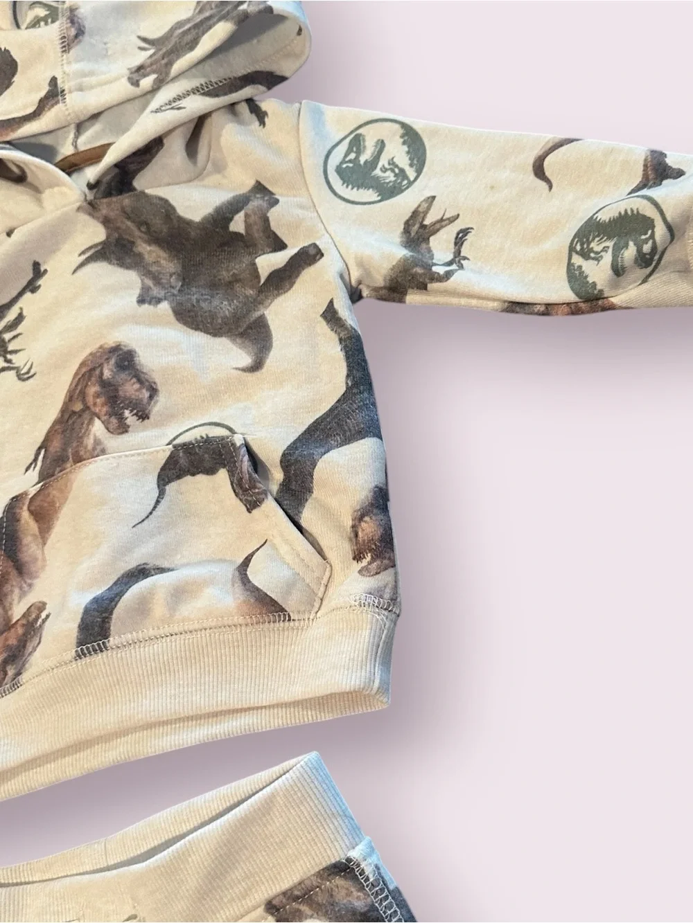 Toddler Boy Jurassic World All Over Dinosaur Print Hoodie And Pants Sz 12 Mon